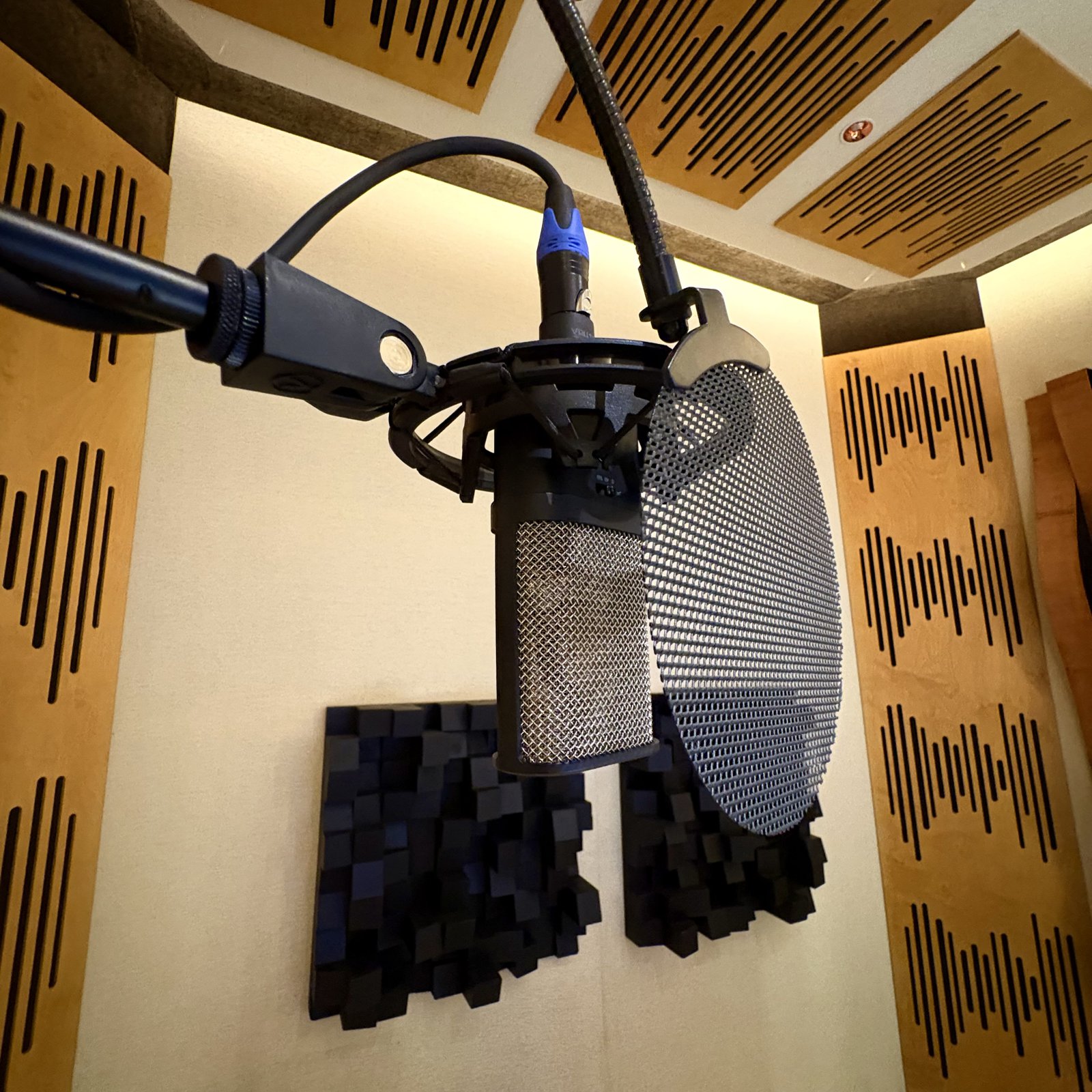 Condenser microphone in a shock mount with pop filter, surrounded by acoustic treatment